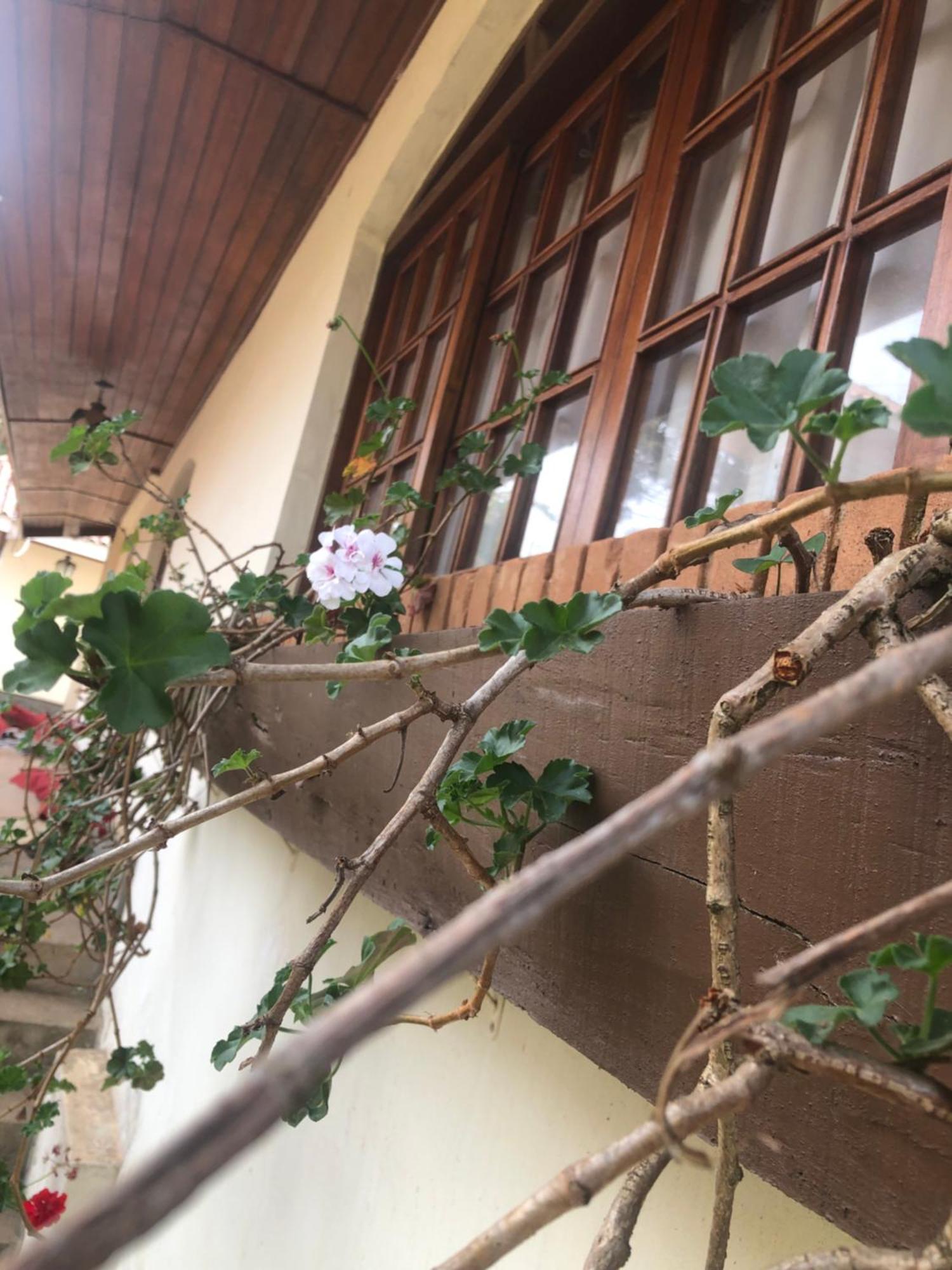 La Casa Da Fotografia Hospedagem domiciliar Campos do Jordão