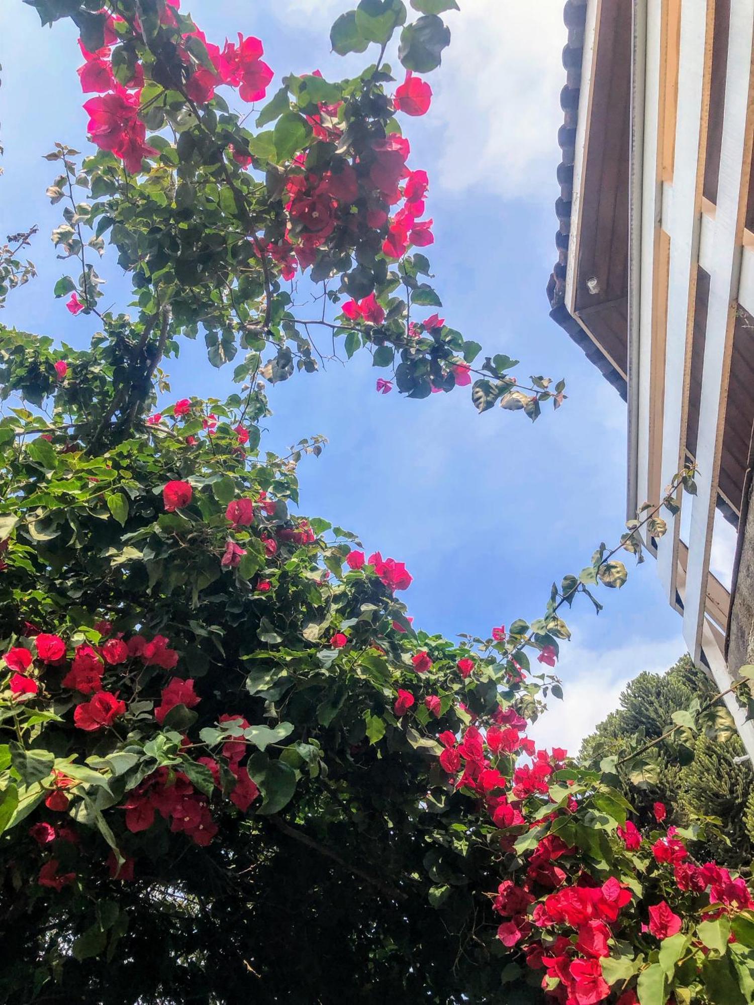 La Casa Da Fotografia Campos do Jordão